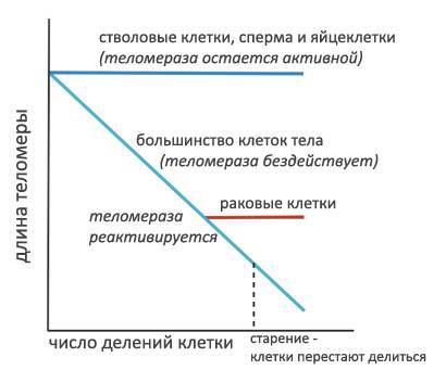 Стартап. Стэнфорд, весна 2012 г. (ЛП) - _94.jpg