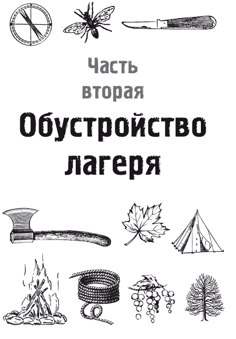 Русский стиль выживания. Как остаться в живых одному в лесу - i_013.png