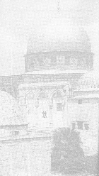 Хроники Израиля: Кому нужны герои. Книга 1 - i_017.jpg