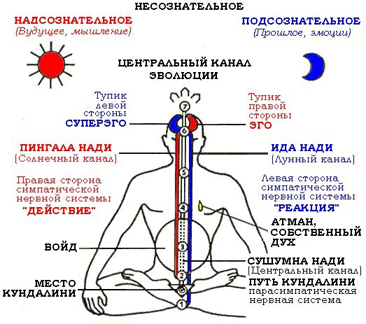 Метафизика пола - i_041.jpg