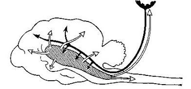 Иван Петрович Павлов (1849 —1936 гг.) - img_54.jpg