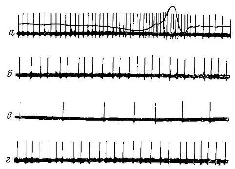 Иван Петрович Павлов (1849 —1936 гг.) - img_56.jpg