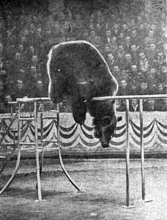 На арене с Гошей - _000044.jpg