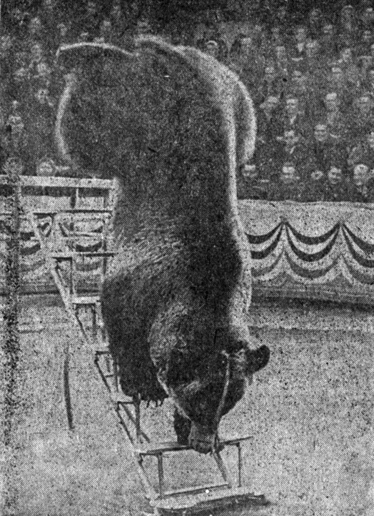 На арене с Гошей - _000046.jpg