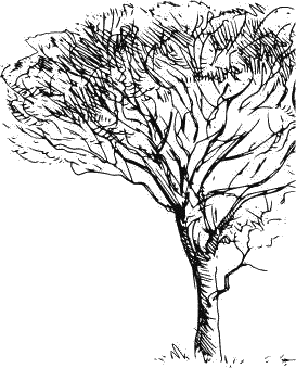 Воробьишко. Рассказы с вопросами и ответами для почемучек - _005.png