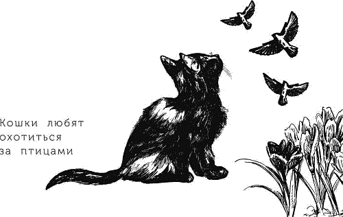 Воробьишко. Рассказы с вопросами и ответами для почемучек - _007.png