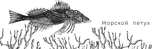 Воробьишко. Рассказы с вопросами и ответами для почемучек - _020.png