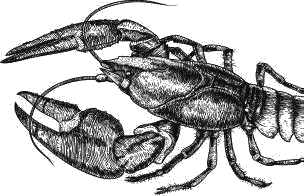 Воробьишко. Рассказы с вопросами и ответами для почемучек - _021.png