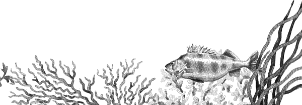 Воробьишко. Рассказы с вопросами и ответами для почемучек - _025.png