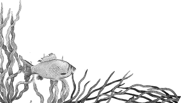 Воробьишко. Рассказы с вопросами и ответами для почемучек - _026.png