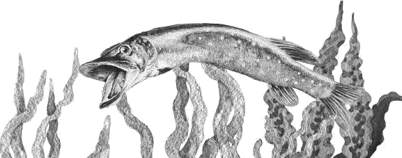 Воробьишко. Рассказы с вопросами и ответами для почемучек - _027.png