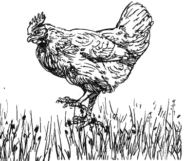 Воробьишко. Рассказы с вопросами и ответами для почемучек - _035.png