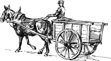 Воробьишко. Рассказы с вопросами и ответами для почемучек - _041.png