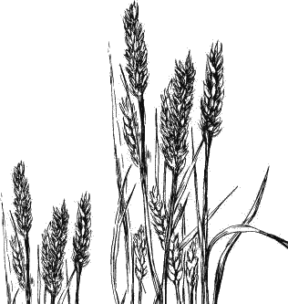 Воробьишко. Рассказы с вопросами и ответами для почемучек - _047.png