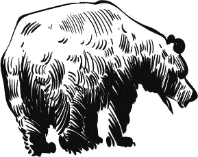 Воробьишко. Рассказы с вопросами и ответами для почемучек - _048.png