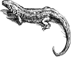 Воробьишко. Рассказы с вопросами и ответами для почемучек - _051.png