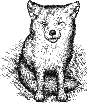 Воробьишко. Рассказы с вопросами и ответами для почемучек - _052.png