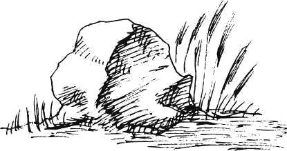 Воробьишко. Рассказы с вопросами и ответами для почемучек - _054.png