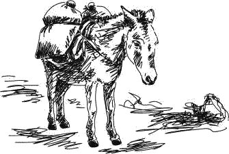 Воробьишко. Рассказы с вопросами и ответами для почемучек - _058.png