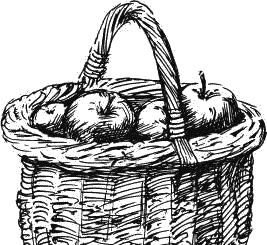 Воробьишко. Рассказы с вопросами и ответами для почемучек - _059.png