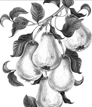 Воробьишко. Рассказы с вопросами и ответами для почемучек - _061.png