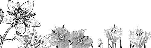 Воробьишко. Рассказы с вопросами и ответами для почемучек - _064.png