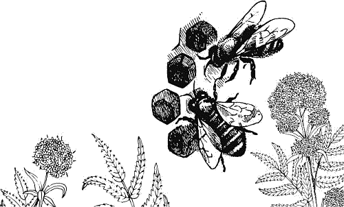 Воробьишко. Рассказы с вопросами и ответами для почемучек - _069.png