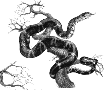 Воробьишко. Рассказы с вопросами и ответами для почемучек - _072.png