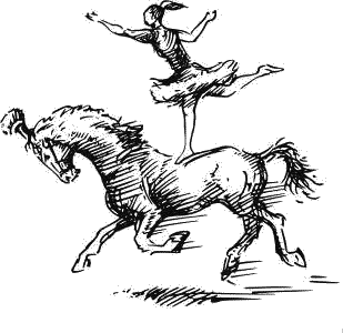 Воробьишко. Рассказы с вопросами и ответами для почемучек - _075.png