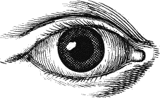 Воробьишко. Рассказы с вопросами и ответами для почемучек - _077.png