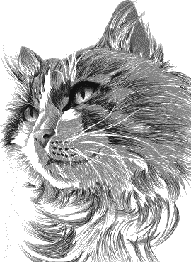 Воробьишко. Рассказы с вопросами и ответами для почемучек - _081.png