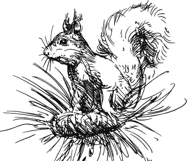 Воробьишко. Рассказы с вопросами и ответами для почемучек - _085.png