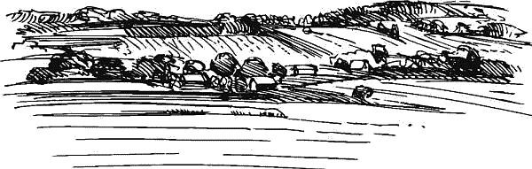 Воробьишко. Рассказы с вопросами и ответами для почемучек - _089.png