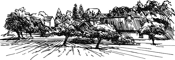 Воробьишко. Рассказы с вопросами и ответами для почемучек - _097.png