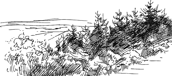 Воробьишко. Рассказы с вопросами и ответами для почемучек - _101.png