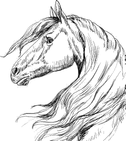 Воробьишко. Рассказы с вопросами и ответами для почемучек - _103.png