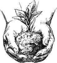 Воробьишко. Рассказы с вопросами и ответами для почемучек - _107.png