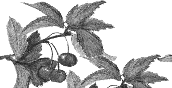 Воробьишко. Рассказы с вопросами и ответами для почемучек - _110.png