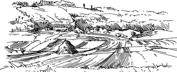 Воробьишко. Рассказы с вопросами и ответами для почемучек - _114.png