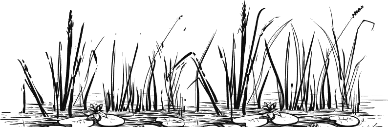 Воробьишко. Рассказы с вопросами и ответами для почемучек - _117.png