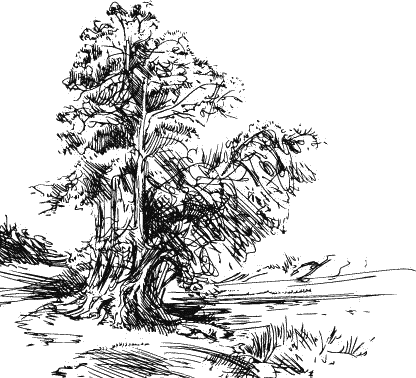 Воробьишко. Рассказы с вопросами и ответами для почемучек - _118.png