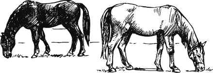 Воробьишко. Рассказы с вопросами и ответами для почемучек - _120.png