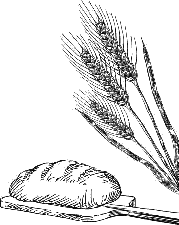 Воробьишко. Рассказы с вопросами и ответами для почемучек - _121.png