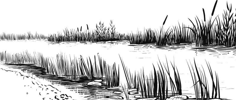 Воробьишко. Рассказы с вопросами и ответами для почемучек - _123.png