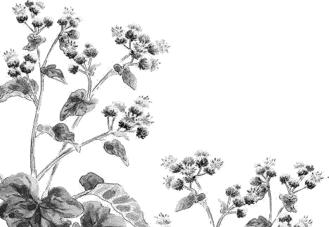 Воробьишко. Рассказы с вопросами и ответами для почемучек - _124.png