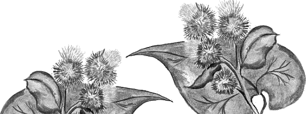 Воробьишко. Рассказы с вопросами и ответами для почемучек - _125.png