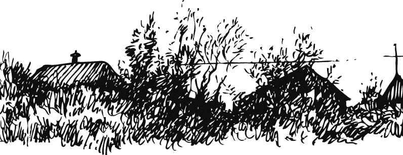 Воробьишко. Рассказы с вопросами и ответами для почемучек - _126.png