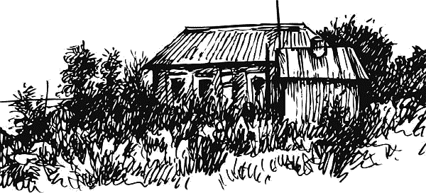 Воробьишко. Рассказы с вопросами и ответами для почемучек - _127.png