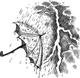 Воробьишко. Рассказы с вопросами и ответами для почемучек - _135.png