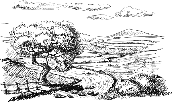 Воробьишко. Рассказы с вопросами и ответами для почемучек - _137.png